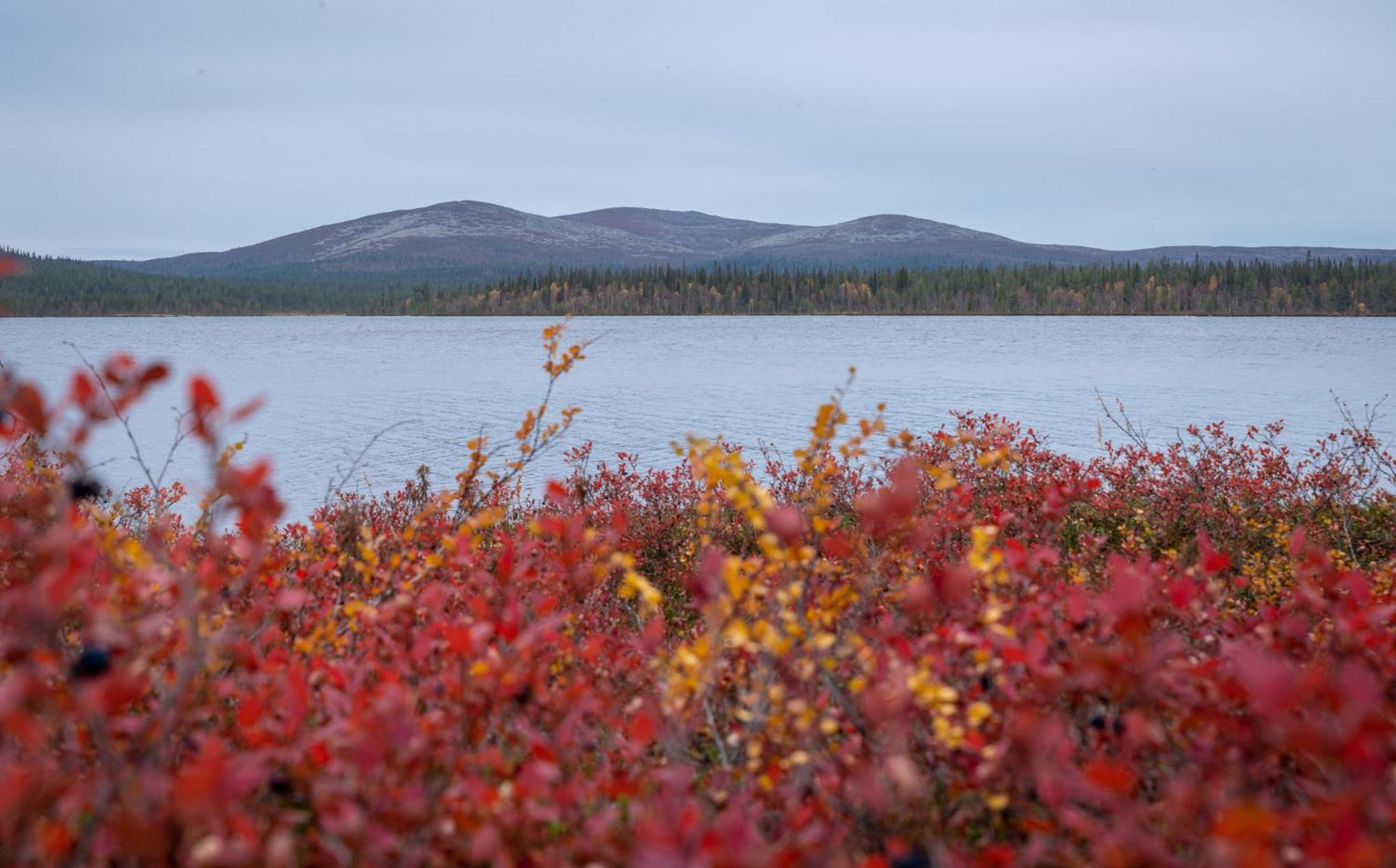 Fell Centre Kiilopaeae, Hotelli Niilanpaeae Saariselka Bagian luar foto